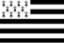 drapeau breton - Accueil - Quimper Brest