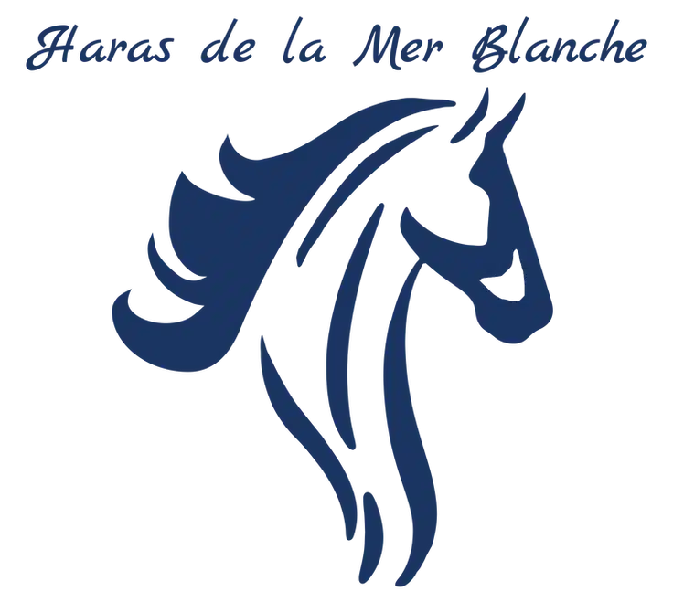 Logo haras de la mer blanche - Accueil - Quimper Brest